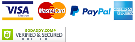 Secure credit card payment icon
