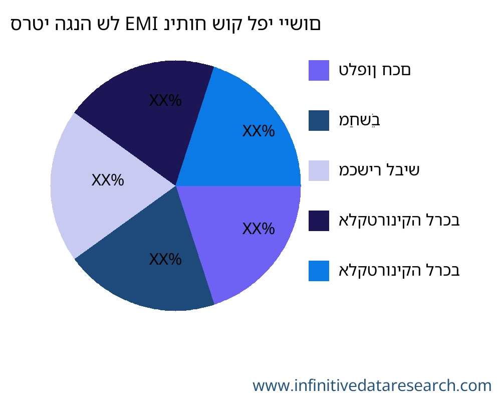 סרטי הגנה של EMI שוק לפי יישום - Infinitive Data Research