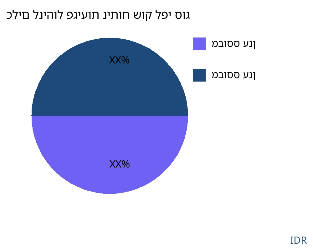 כלים לניהול פגיעות שוק לפי סוג מוצר - Infinitive Data Research